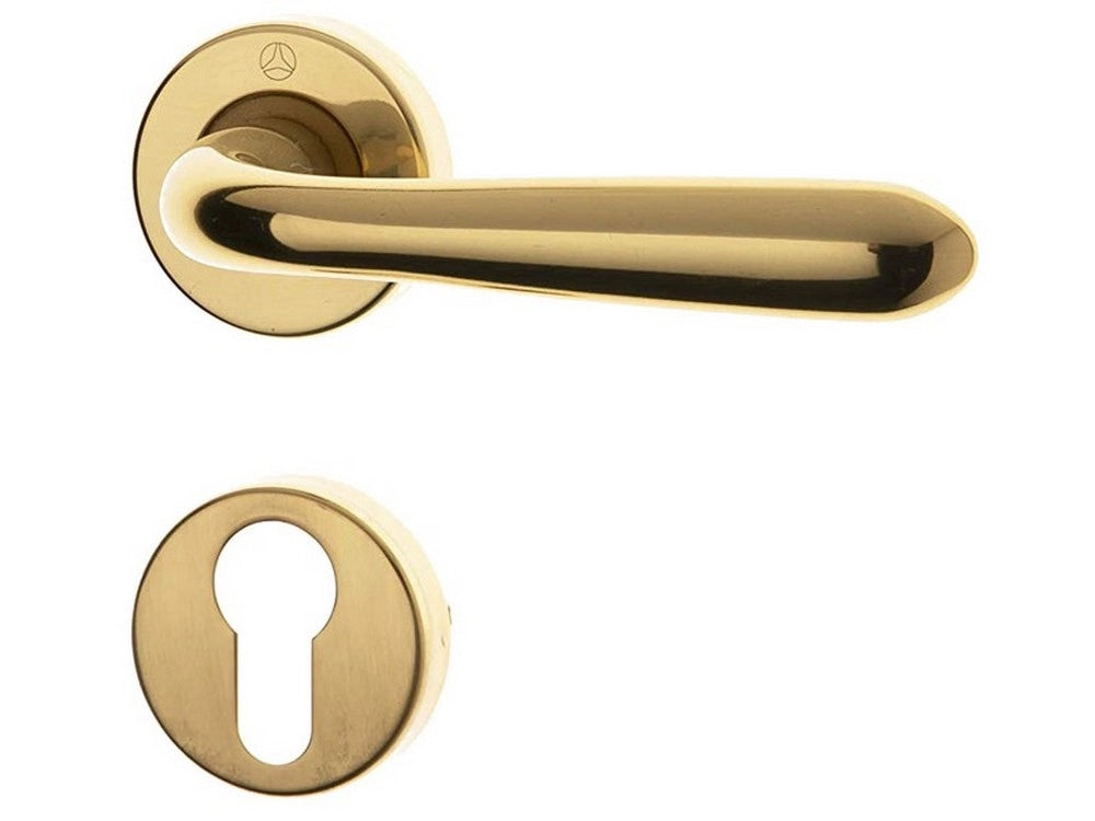 1pz maniglia gm05 con rosetta  yale zgctol cod:ferx.vit54679