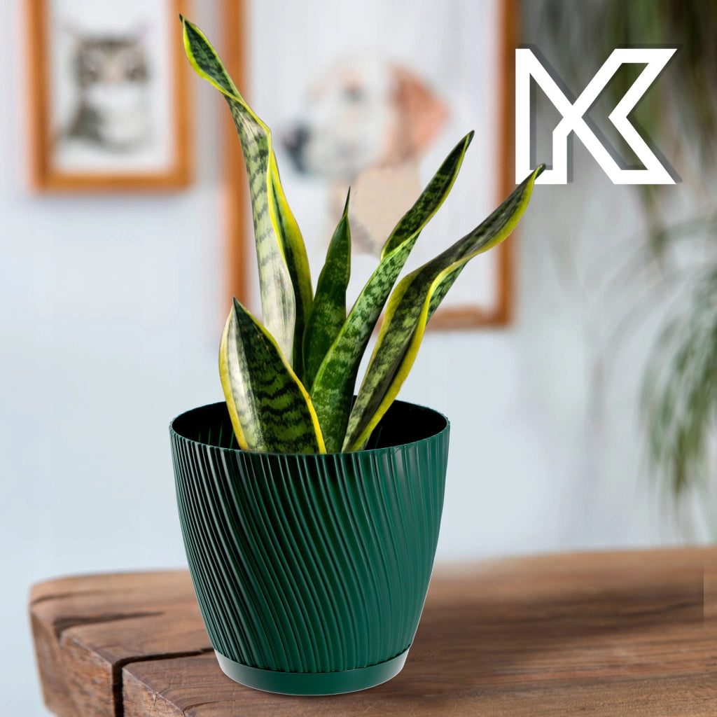 Vaso da fiori KADAX con supporto, coperchio, ciotola rotonda, 27 cm, verde