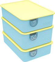 Organizzatore per intimo, contenitore di stoccaggio, 31,5 x 21,8 x 10,5 cm, cassetto di stoccaggio pieghevole e impermeabile per in cassa, calze, sciarpa a push-up, macchina per la corda per la vestizione, abbigliamento per bambini