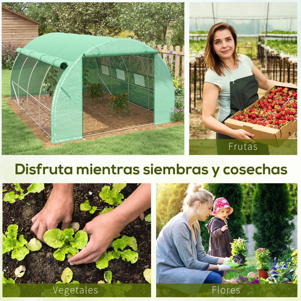 Serra da Giardino Tunnel 4x3x2 m con Porta e 8 Finestre ¨C zephmum ¨C Verde