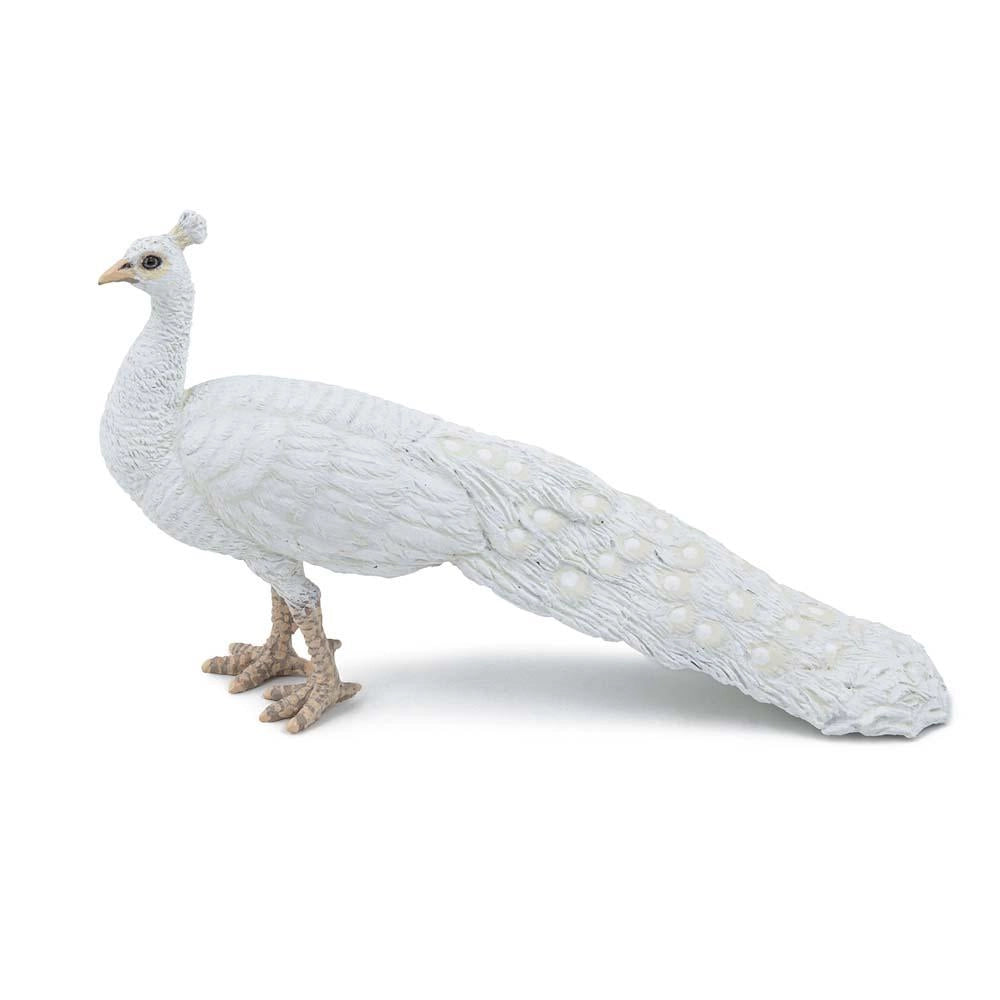 Papo - White Peacock