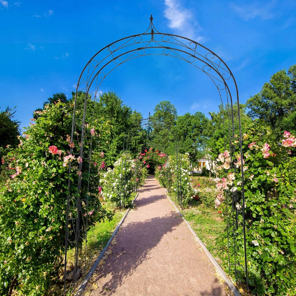 Arco da giardino in metallo KADAX per fiori, rose e piante rampicanti, supporto da 281 cm