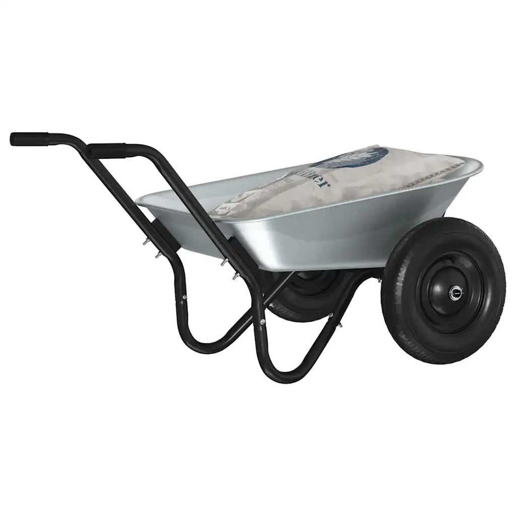 Carriole Argento e Nero 124 x 73 x 65 cm Acciaio CFW1169112