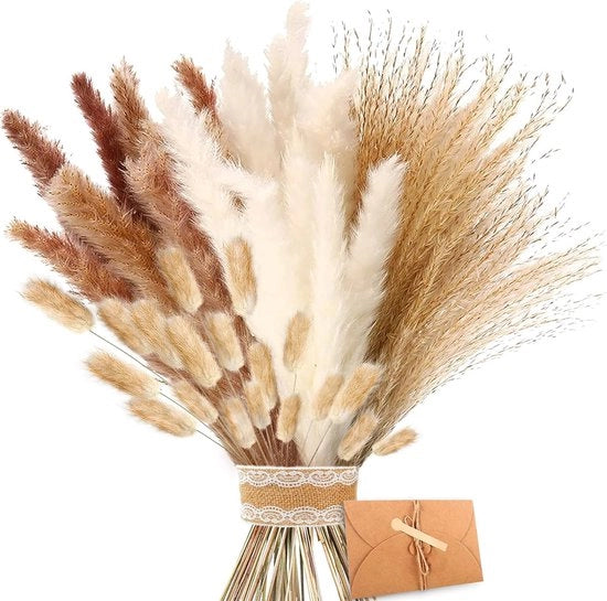 Pampas secco - Fiori naturali - Per decorazione di bouquet - Marrone e Bianco
