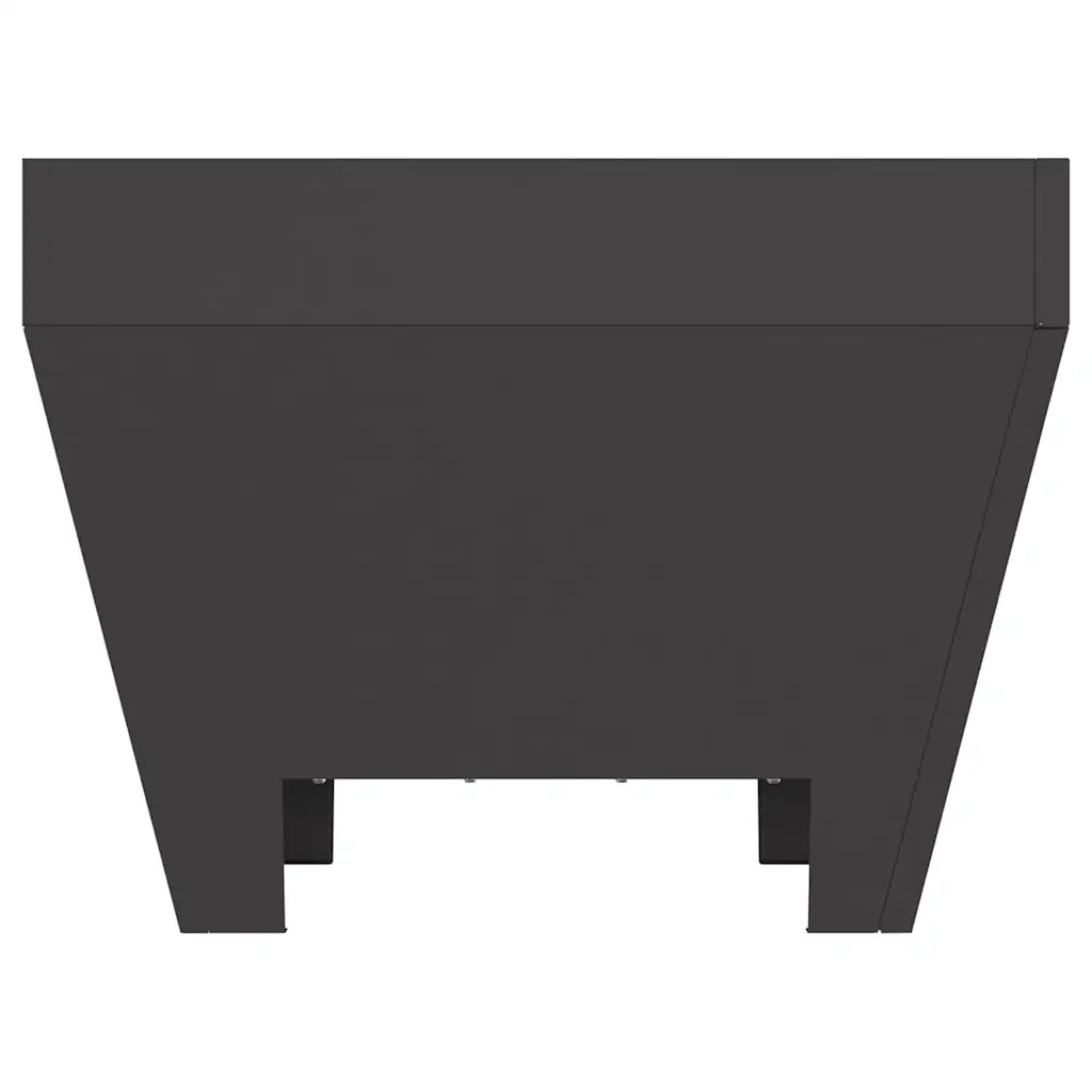 Focolare Nero 50 x 50 x 38 cm Acciaio CFW3868389