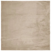 Tappeto del soggiorno | Tappeto a Pelo Corto HUARTE Morbido e Lavabile Sabbia 160x160cm