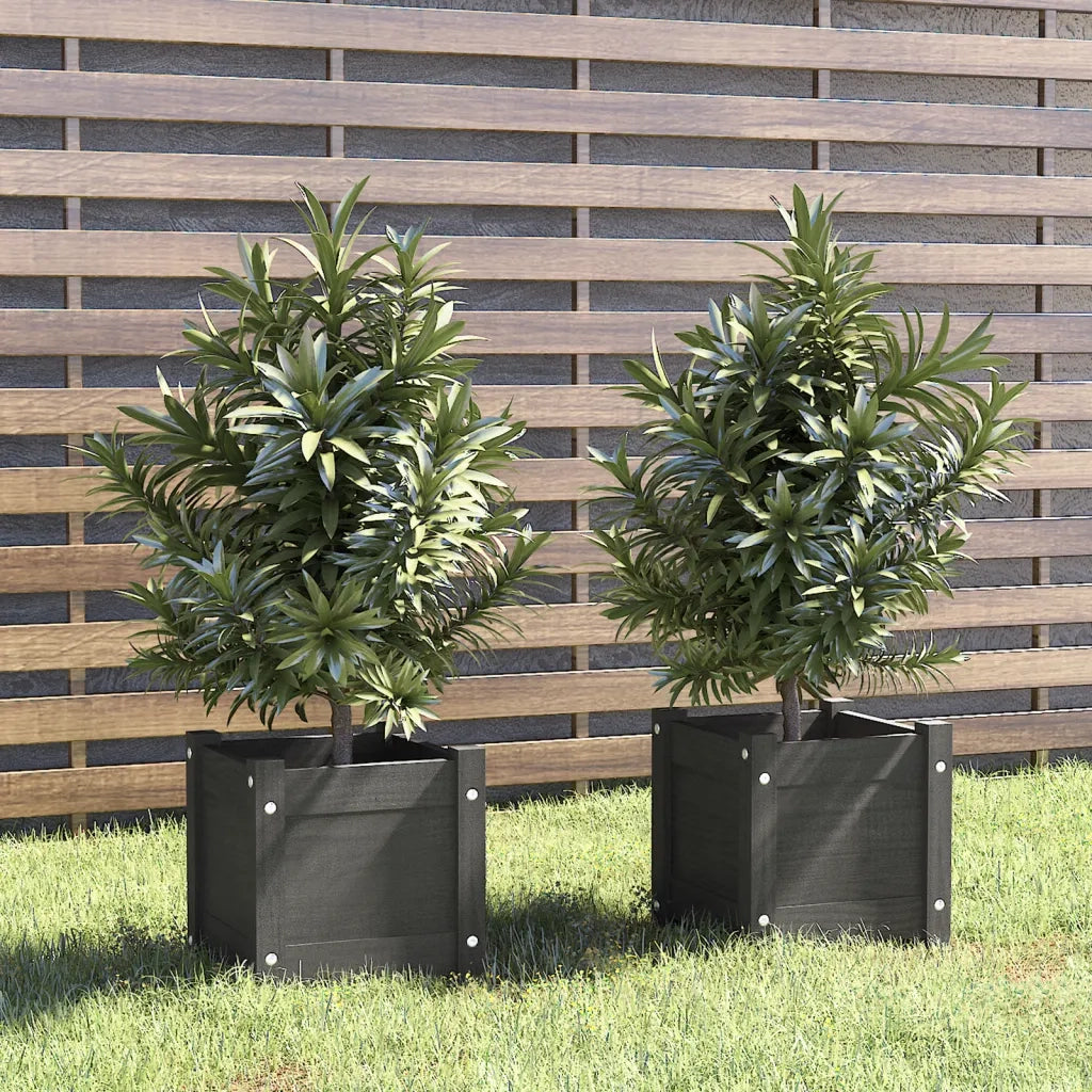 2 pz Fioriere | Cassetta per fiori | Vaso da Giardino Grigie 31x31x31 cm in Legno di Pino