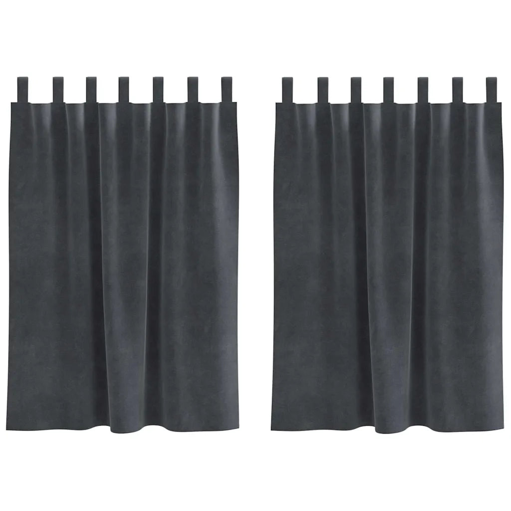 Tende oscuranti 2 pcs Grigio chiaro 140 x 140 cm Velluto 4107263