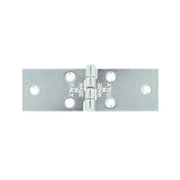 Cerniere ala lunga - 25 x 100 mm. - zincato - 2 pz.