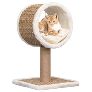 Albero per Gatti con Tunnel in Alto e Giocattolo 56cm in Giunco cod mxl 7118