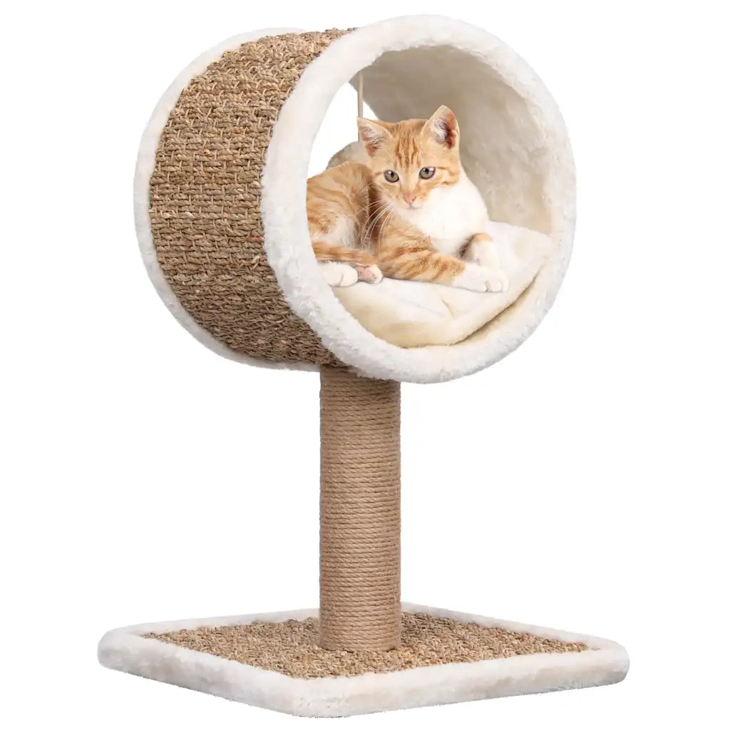Albero per Gatti con Tunnel in Alto e Giocattolo 56cm in Giunco cod mxl 7118