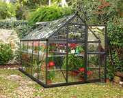 Harmony Trasparente Serra Da Giardino in Policarbonato 306X185X208 cm  Grigio