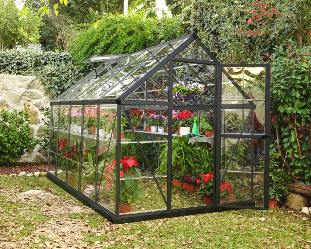 Harmony Trasparente Serra Da Giardino in Policarbonato 306X185X208 cm  Grigio