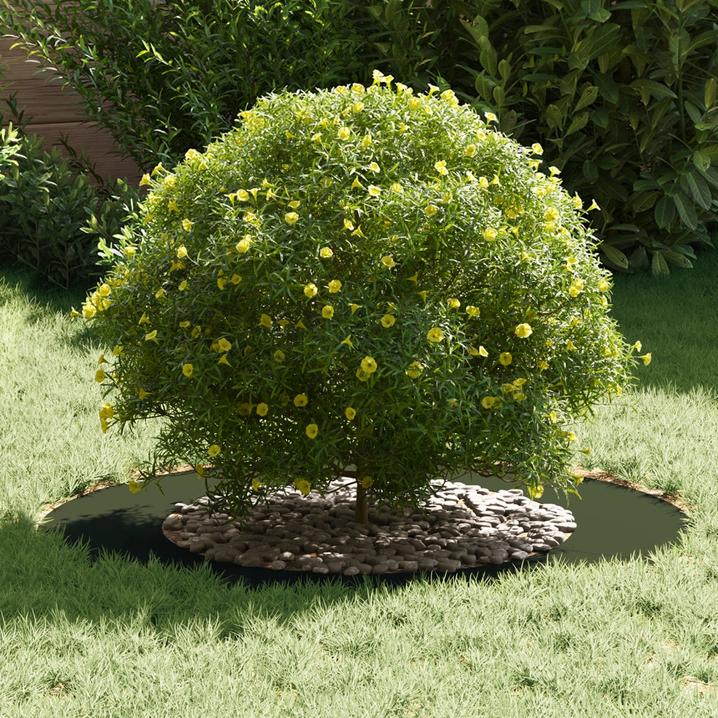Fioriera in ceramica Verde oliva Ceramica Grande