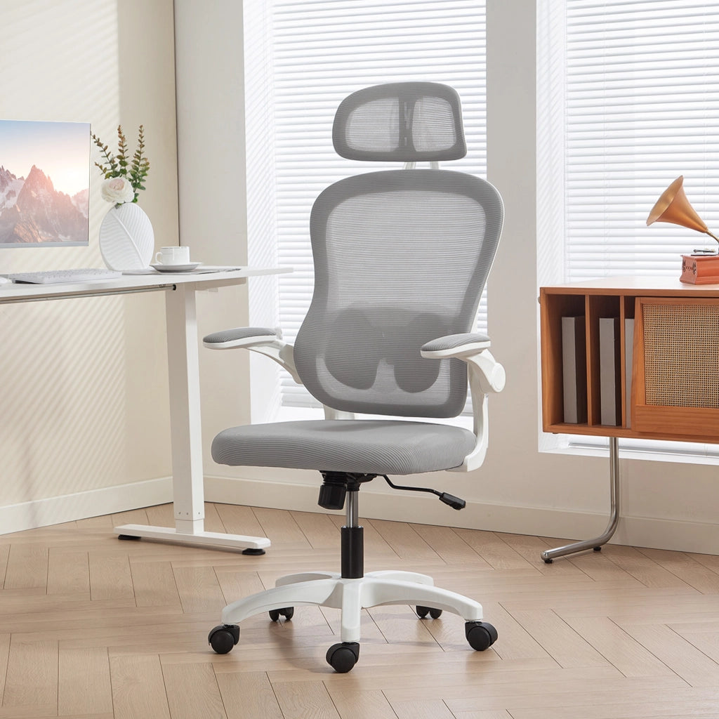Sedia da ufficio ergonomica ¨C Zephmum ¨C Grigia, rete a doghe, 64x62x115 cm