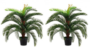 Set 2 Piante Artificiali Palma 80x80x100 cm in Plastica con Vasi Verde