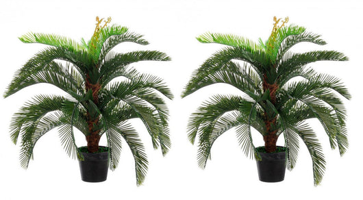 Set 2 Piante Artificiali Palma 80x80x100 cm in Plastica con Vasi Verde