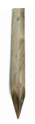 PALO IMPREGNATO TONDO C/PUNTA D 5XH100  CM- 1,0 pz