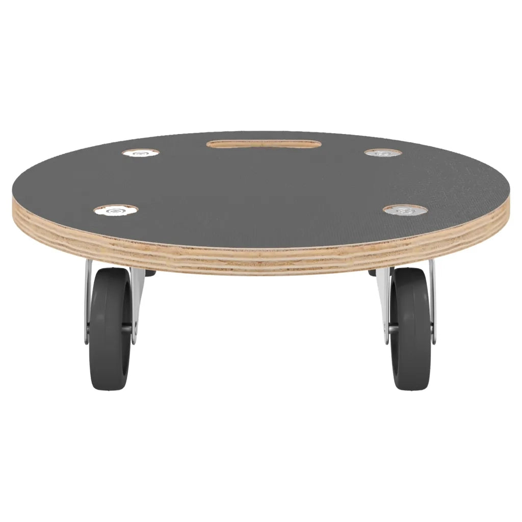 Pedane di Trasporto 2 pz Rotonde Ø38x11,5 cm 250 kg 154892