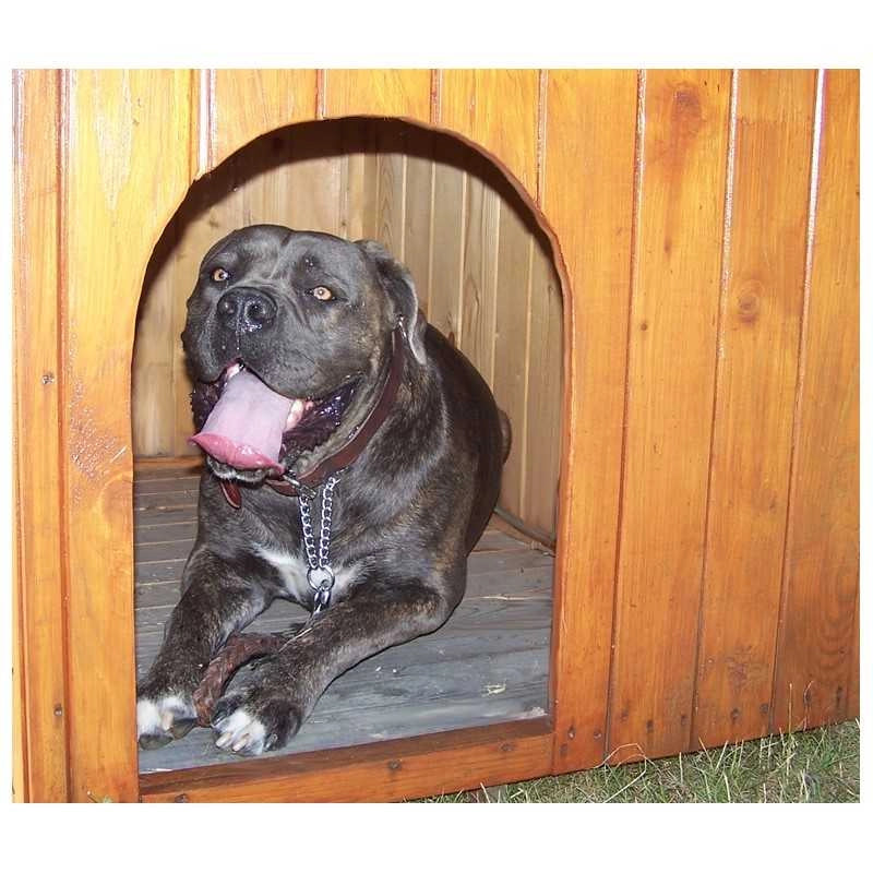Cuccia da esterno per cani in legno 80x120 cm – tetto guaina ardesiata – spessore pareti 16 mm – NC0812.01 Foresta