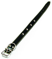 Utilia Pet COLLARE IN CUOIO FODERATO CON BORCHIE cm. 51x2,5 col. Assortiti