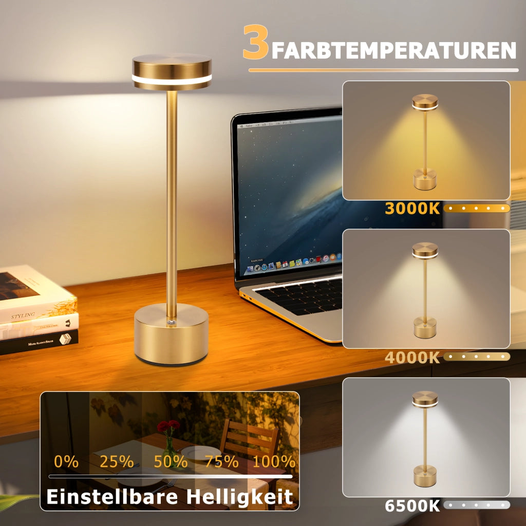ZMH Lampada da tavolo LED oro set 2 pezzi touch dimmerabile USB C H31.5cm per comodino camera letto