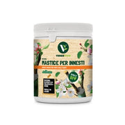 MASTICE PER INNESTI ARBOKOL 250 G- 1,0 pz