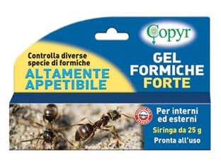 Insetticida Gel Formiche Forte Copyr 25 g 2 Pezzi