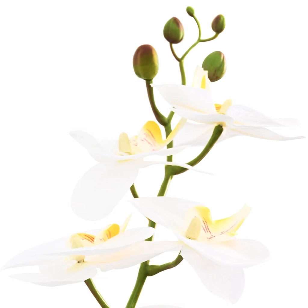 Pianta di Orchidea Artificiale con Vaso Bianco 45 x 15 x 65 cm CFW3342445