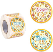 Etichette per festa 500 pezzi - Svelamento del sesso - Team Ragazza/Ragazzo - Articoli da festa - Carta laminata - 5x5 cm - Etichette da festa