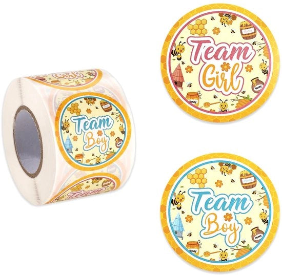 Etichette per festa 500 pezzi - Svelamento del sesso - Team Ragazza/Ragazzo - Articoli da festa - Carta laminata - 5x5 cm - Etichette da festa