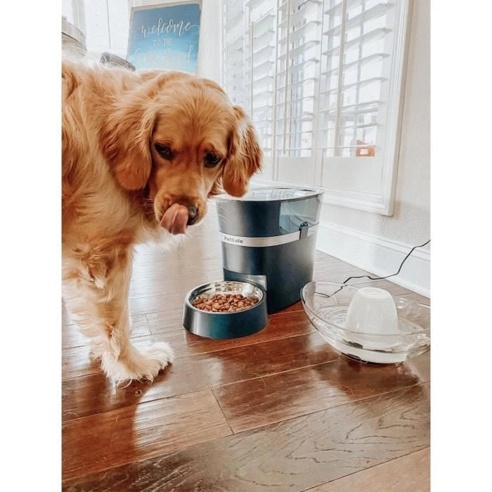 Dispenser 12 pasti connesso PETSAFE Smartfeed - Per cani e gatti
