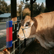 Spazzole per Bestiame da Muro 20x9x50 cm