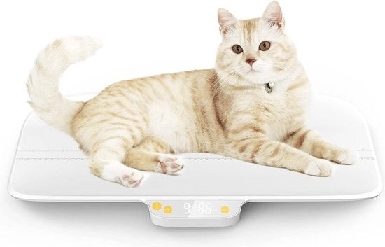 Pesi digitali per animali con precisione ± 0,2 lbs, capacità di 100 kg, senza smontaggio, design compattissimo, adatto per gatti, cuccioli, conigli e neonati.