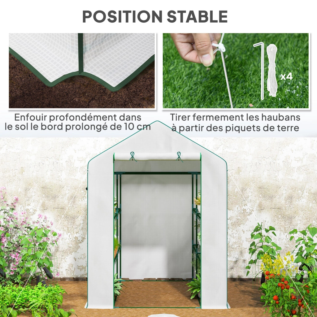 Serra da Giardino con 1 Porta 2 Finestre e Scaffali 3 Livelli ¨C Zephmum ¨C Bianco 140x143x190 cm