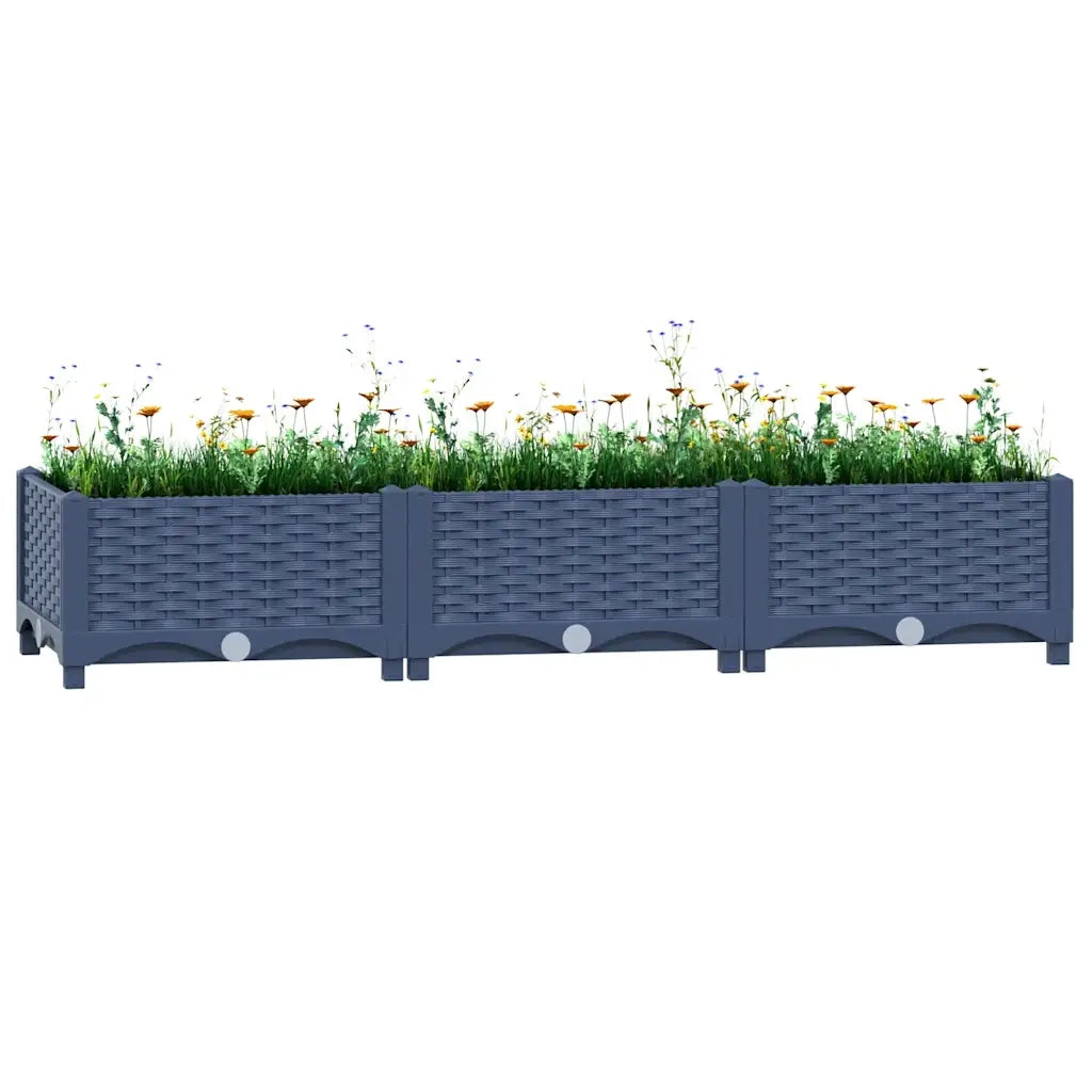 Fioriera | Cassetta per fiori | Vaso Rialzata 120x40x23 cm in Polipropilene