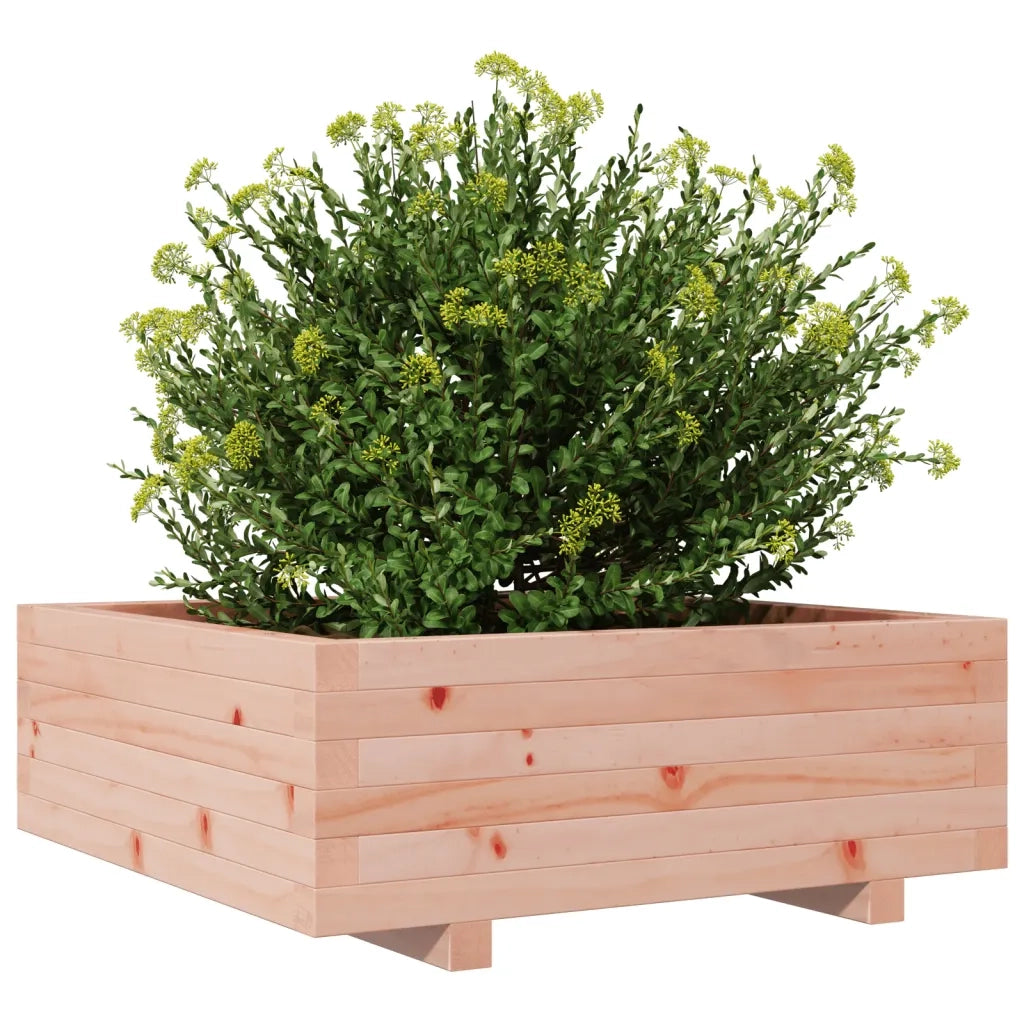 Fioriera da Giardino 70x70x26,5 cm in Legno Massello di Douglas