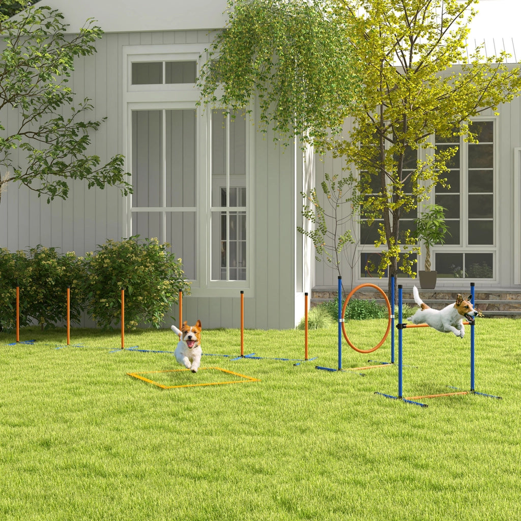 Set Agility Dog con Anello e Barra per Salto Paletti Slalom Fischietto Palline e Borsa Arancione
