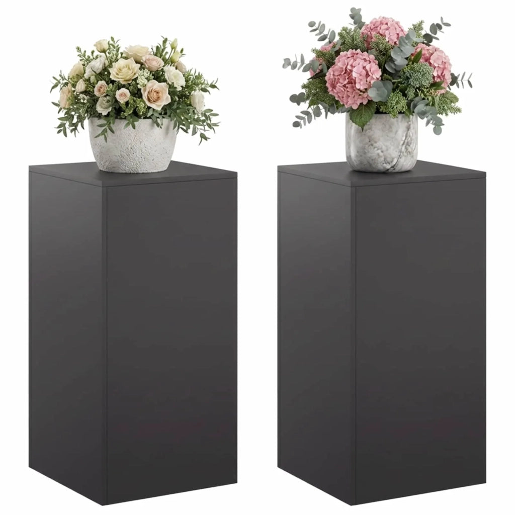 Supporto per piante 2 pcs Nero 40 x 40 x 80 cm Acciaio 8012545
