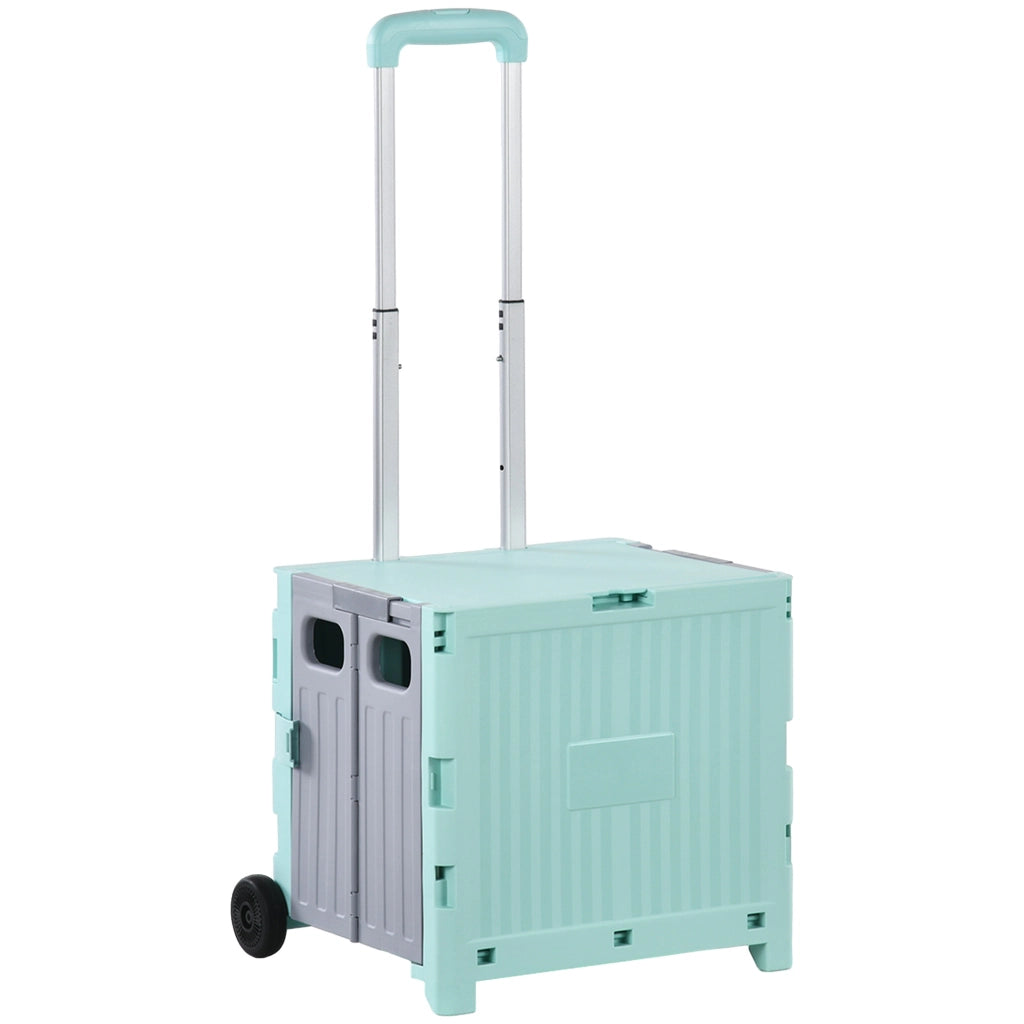 Carrello per Supermercato con 2 Ruote ¨C zephmum ¨C Verde 41.5x32.5x85 cm