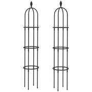 Set 2 Supporti per Piante Rampicanti Alti 170 cm in Acciaio Antiruggine Nero
