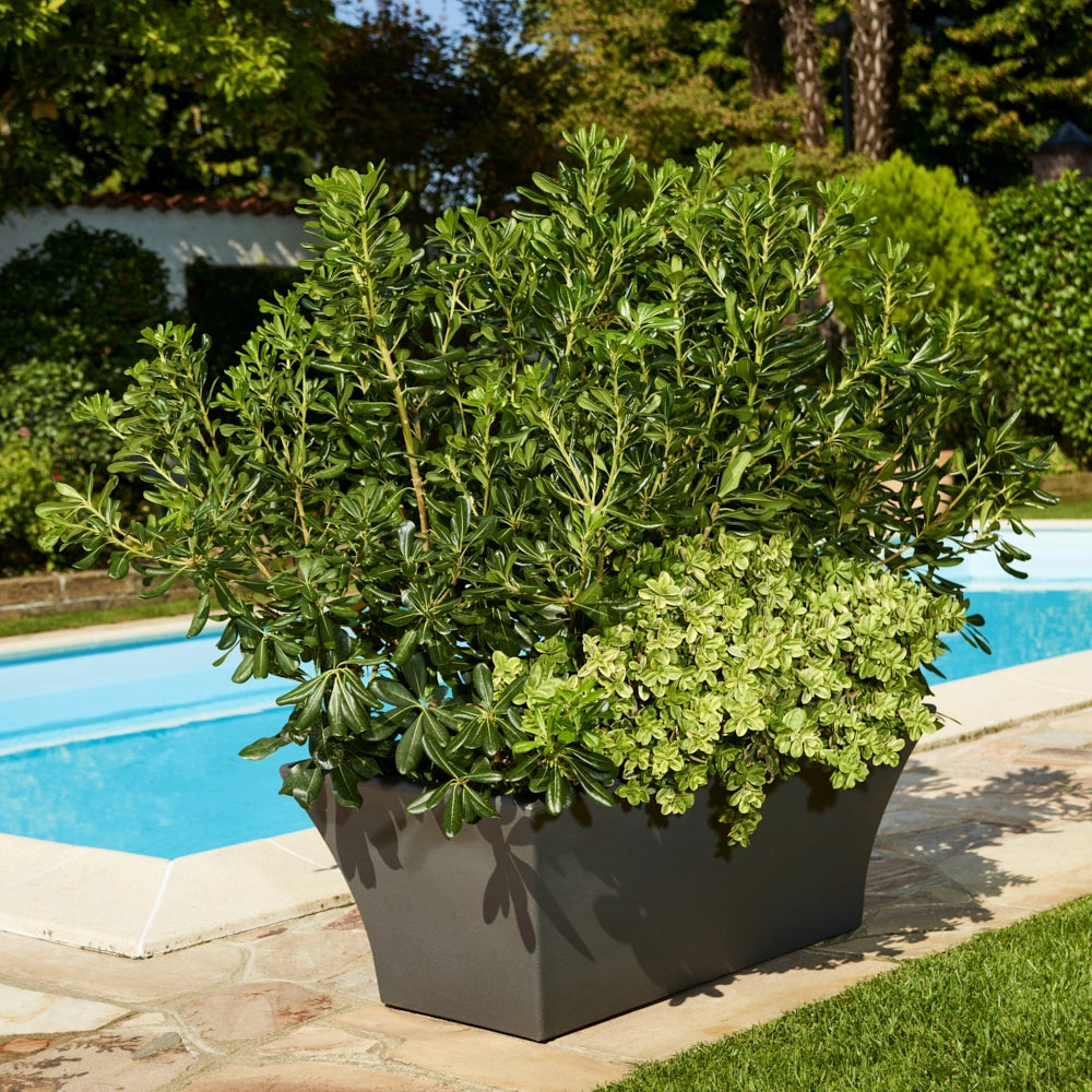 Garden Italia Fioriera Moderna Liscia Svasata ECSL 90×35 cm in Resina  – Made in Italy, Resistente al Gelo e Antiurto Colore: Antracite