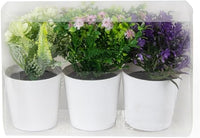 Set 3 Piante Artificiali con Vaso in Polipropilene Bianco