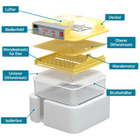 Incubatrice automatica per 48 uova, con regolazione temperatura e umidità, Covatrice