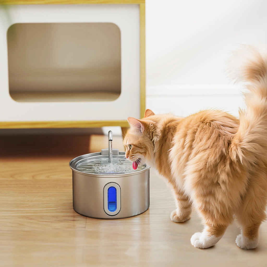 Fontanella per Gatto con Luce LED ¨C zephmum ¨C Acciaio Inox Argento 19.4x19.4x18.7 cm