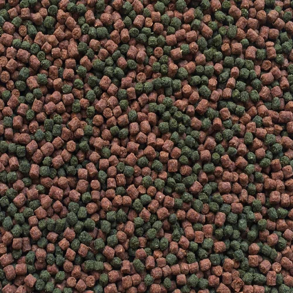 Amtra Pro Oranda Granular Formato: 100 ml