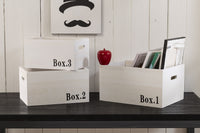 Set 3 Cassette Multiuso in Legno di Paulownia Ariel Bianco