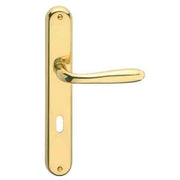 MANIGLIA 'GOCCIA' CON PLACCA  Bronzo graffiato lucido