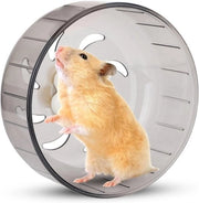 Ferro da Giro per Hamsters e Piccoli Animali di Compagnia - 13CM, Acrilico, Silenzioso e Lavabile