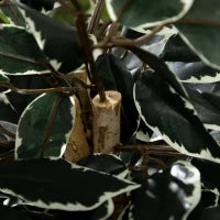 Pianta Artificiale di Fico da 130 cm a 702 Foglie e 3 Tronchi con Vaso Ø15x12.5 cm, per Interni ed Esterni